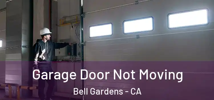  Garage Door Not Moving Bell Gardens - CA